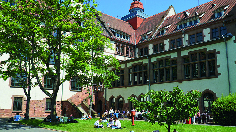 Gebäudeansicht mit großem Baum und grüner Rasenfläsche davor