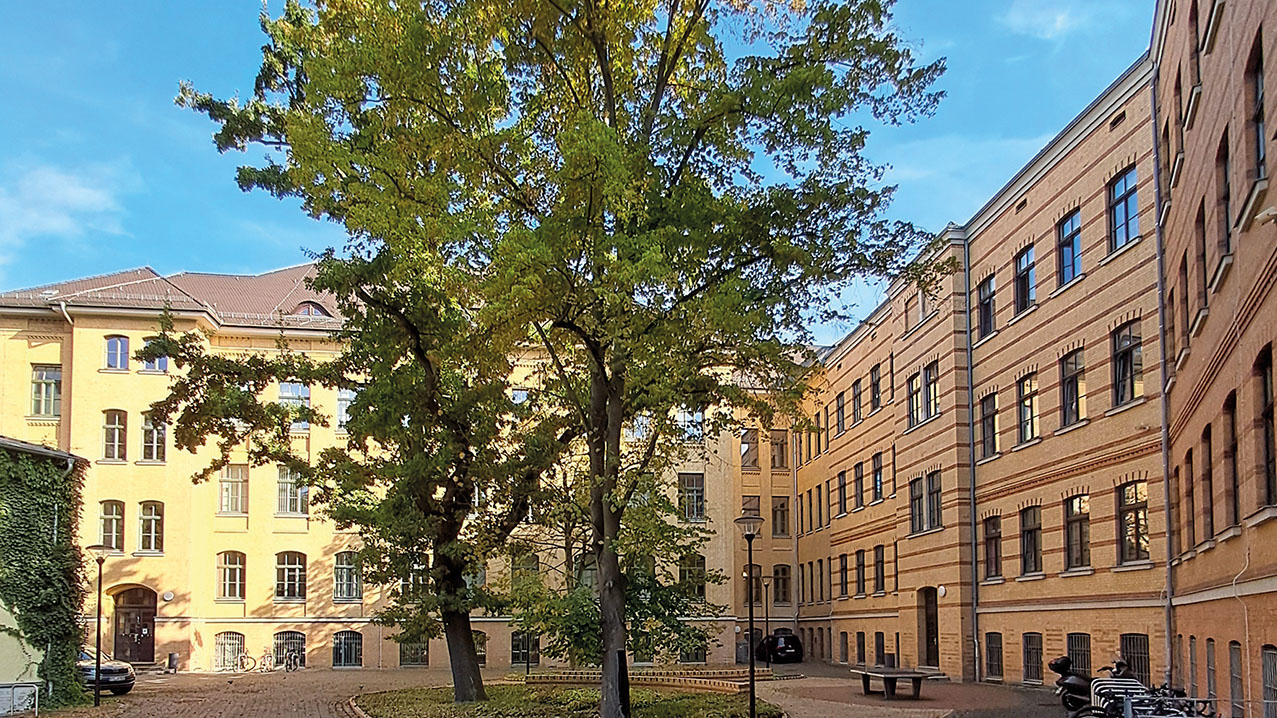 Außenansicht der Schule mit einem großen Baum auf der Hof