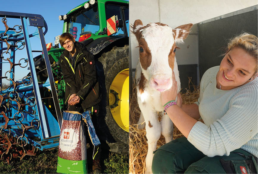 Fotocollage Landwirt auf Traktor und Tierwirtin mit Kälbchen