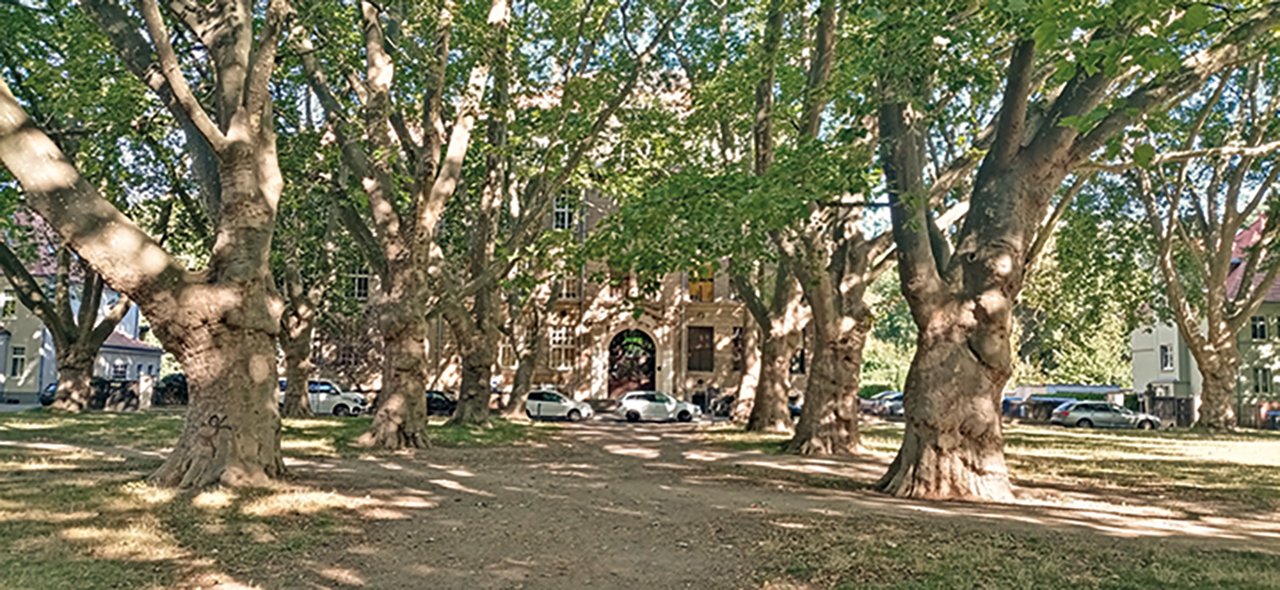 Gebäudeansicht mit Bäumen im Vordergrund