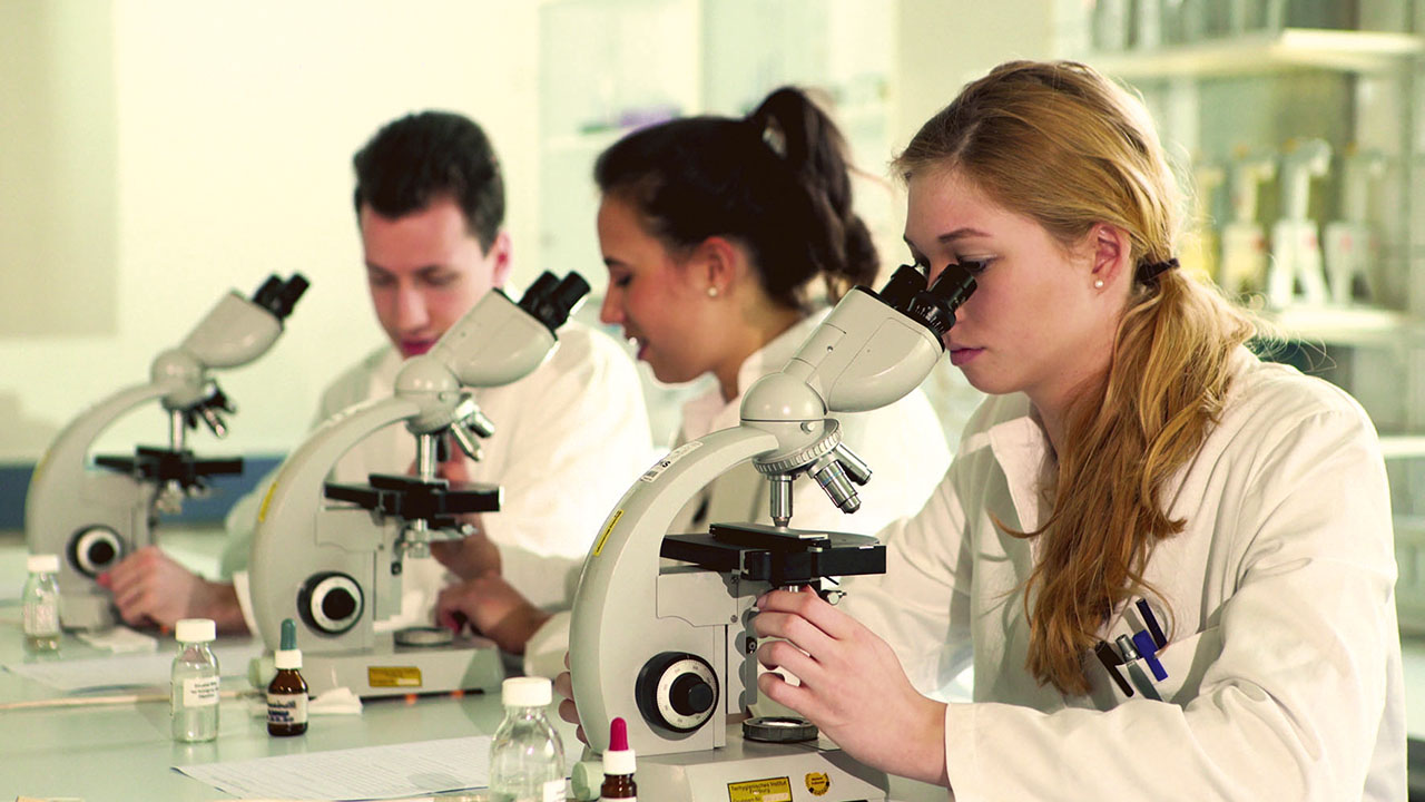 Drei junge Person in weißen Kitteln am Mikroskop im Labor