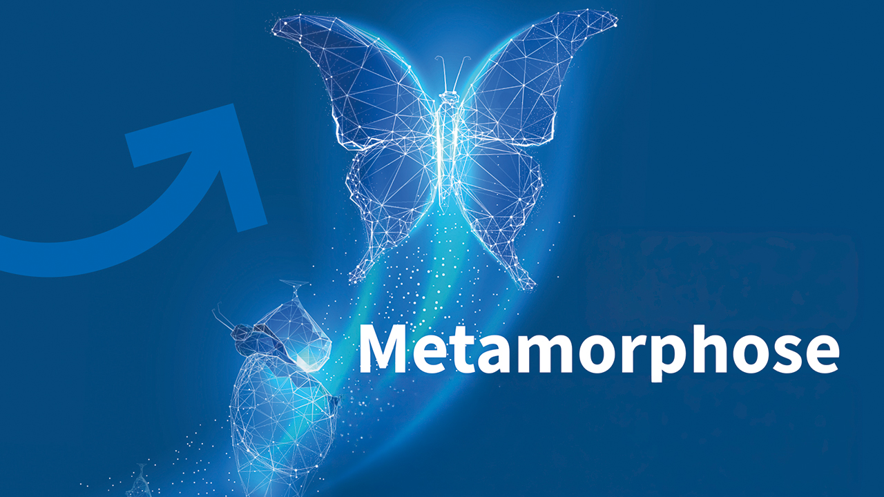 Graphik eines Schmetterlinges, der aus einem  Gitternetz entsteht. Dazu das Wort Metamorphosen als Hinweis darauf, dass aus der Berufsakademie Sachsen ab 2025 die Duale Hochschule Sachsen geworden ist.