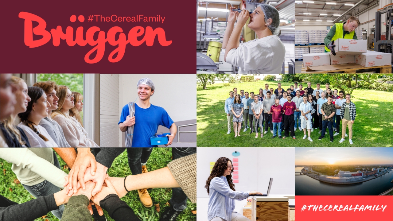 Bildcollage – verschiedene Eindrpcek mit Gruppenbildern und Menschen beim arbeiten