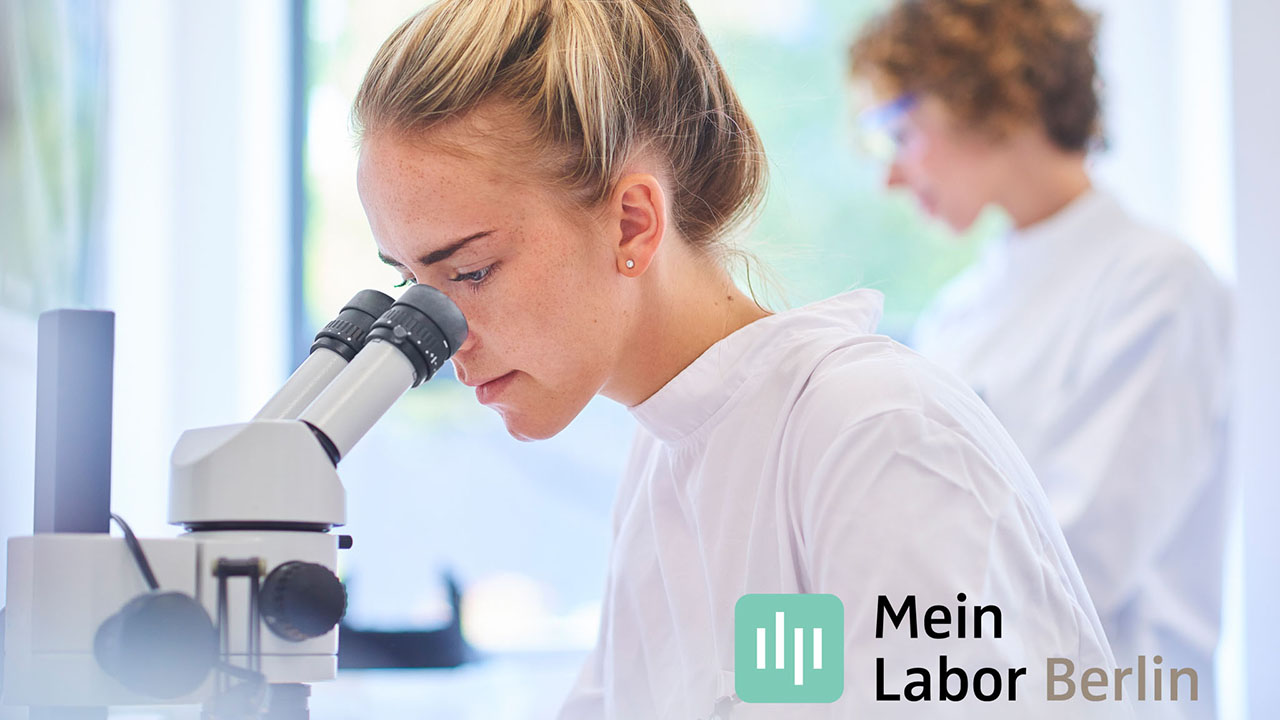 Person im Labor am Mikroskop