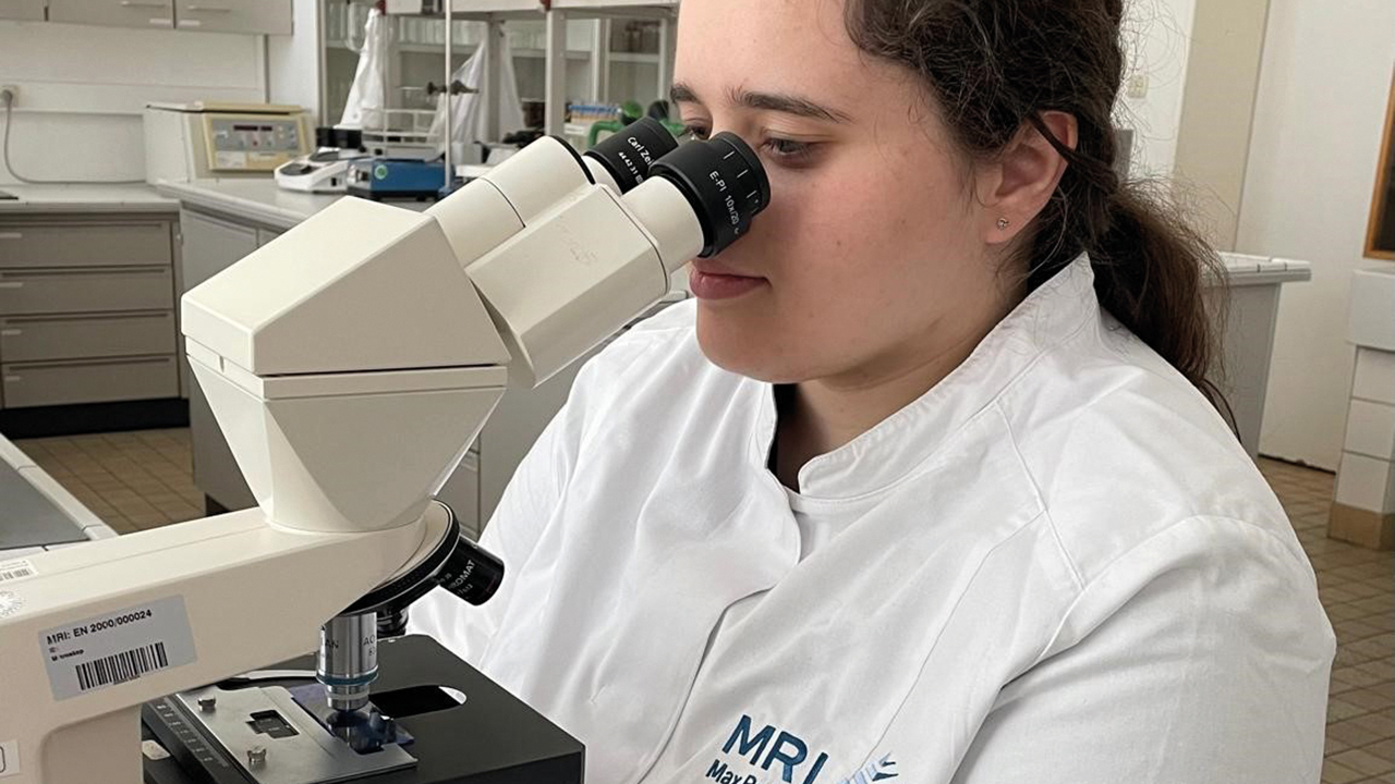 Frau schaut durch Mirkoskop Proben an