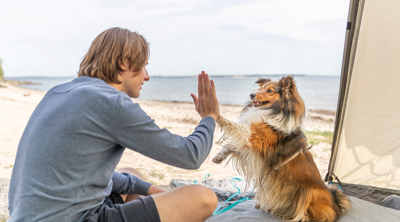 Mann mit Hund am Strand, Hund gibt dem Mann High Five