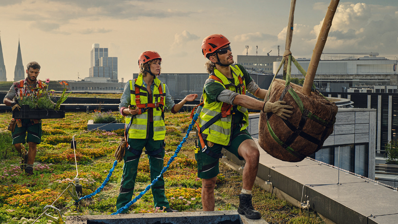 Auf dem Foto sieht man 3 Personen in Arbeitskleidung auf einem begrünten Dach in einer Großstadt. Zwei von Ihnen tragen Helm und Sicherheitswesten und nehmen gerade einen Baum in einem Topf entgegen, der von einem Kran angeliefert wird. Die dritte Person trägt eine Kiste mit Pflanzen. 