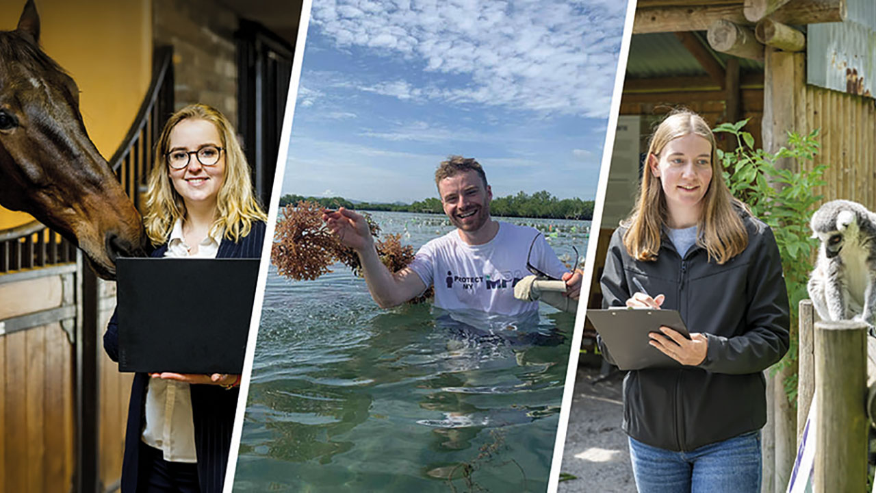 Collage aus drei Bildern. Auf jedem Bild werden unterschiedliche Studienrichtungen zeigt.