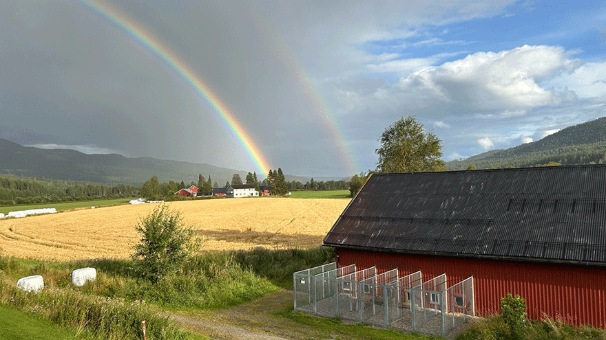 Sinas Blick aus ihrem Zimmer am Campus /© Sina Janich