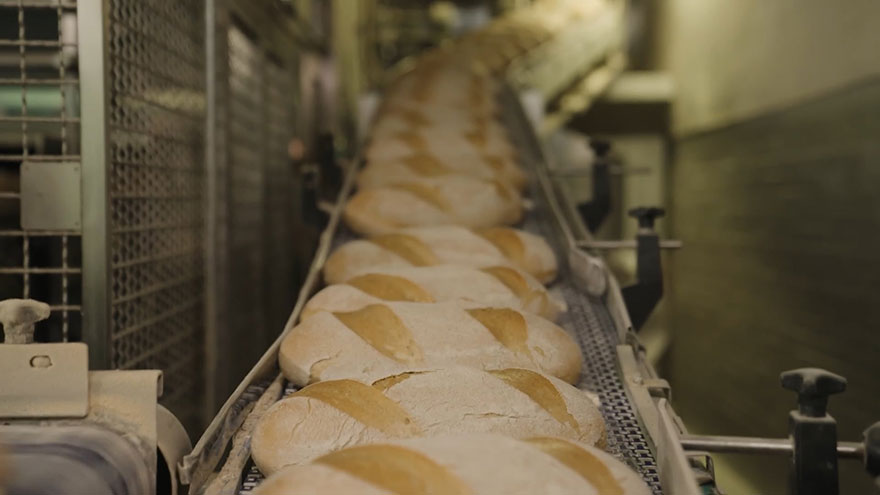 Meherer Brote auf einem Fließband in der Großbäckerei.
