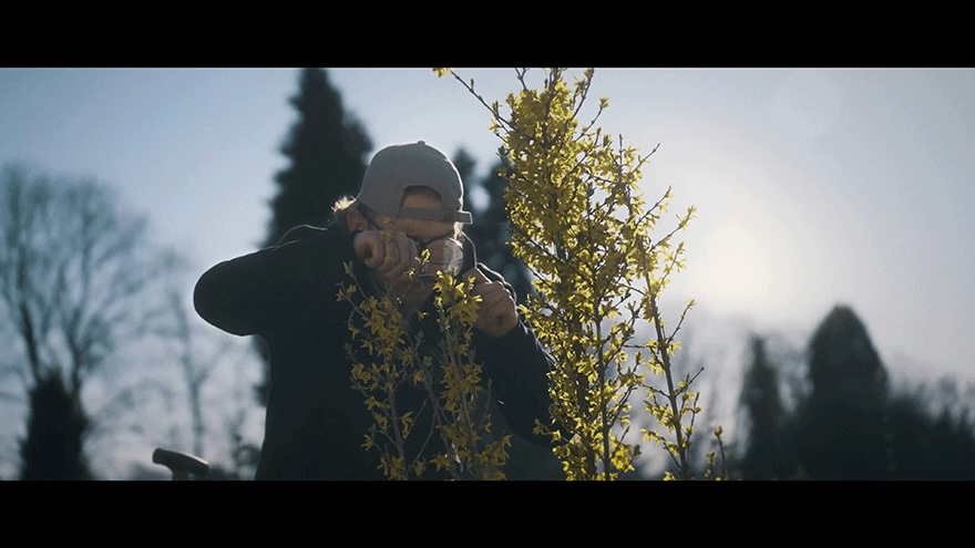 Gärtner untersucht und beschneidet Pflanze.