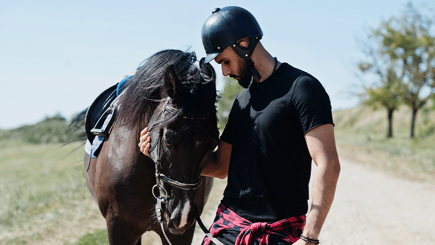 Pferd und Reiter (Symbolbild). © ASphotofamily via Freepik