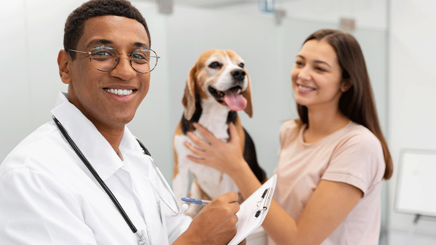 Ein Beagle beim Tierarzt (Symbolbild). © Freepik