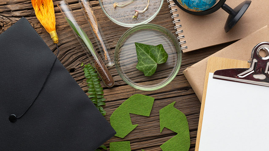 Draufsicht auf Tisch mit Pflanze. Schreibutensilien und Reagenzglas.