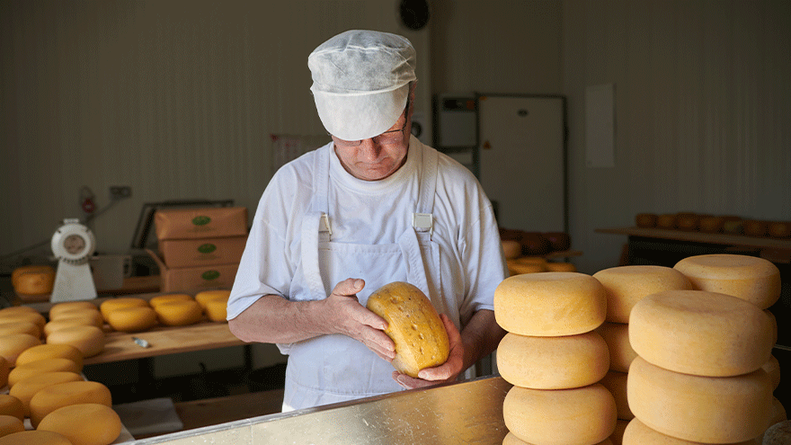 Milchlaborant prüft Käse (Symbolbild) © Benis Arapovic via Vecteezy.com