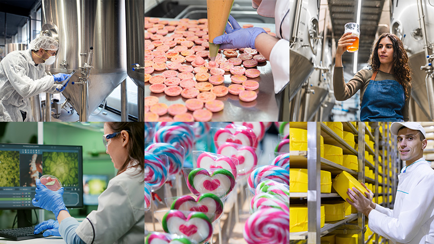 Collage zu Berufen in der Lebensmittelbranche. Fachkräfte für Lebensmitteltechnik bei der Arbeit, an Anlagen, beim Bierbrauen, in der Käserei.Lebensmittel-Forschende am PC mit labortechnischen Proben. Bilder von der Produktion von  Maccarons und Reihen verpackter Lutscher.  Bilder von magnific.
