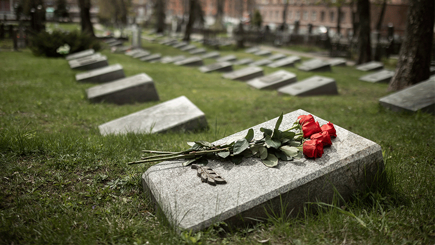 Urnengräber auf einem Friedhof (Symbolbild). Bild von Freepik.